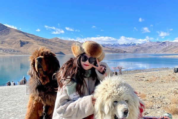 东北到西藏旅游专列经过路线城市？