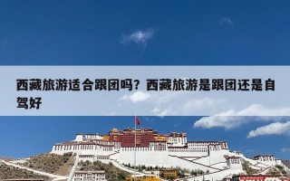 西藏旅游适合跟团吗？西藏旅游是跟团还是自驾好