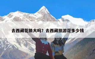 去西藏花销大吗？去西藏旅游花多少钱