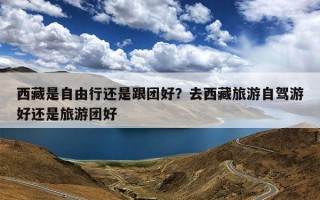 西藏是自由行还是跟团好？去西藏旅游自驾游好还是旅游团好