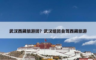 武汉西藏旅游团？武汉组团自驾西藏旅游