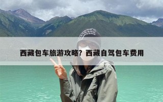 西藏包车旅游攻略？西藏阿里环线包车攻略费用