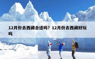 12月份去西藏合适吗？12月份去西藏好玩吗