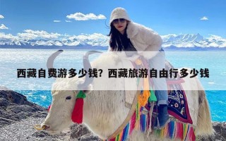 西藏自费游多少钱？西藏旅游自由行多少钱