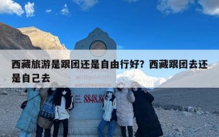 西藏旅游是跟团还是自由行好？西藏跟团去还是自己去